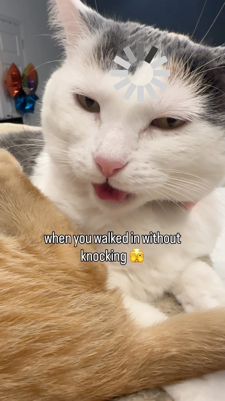 Sorry, I should have knocked.